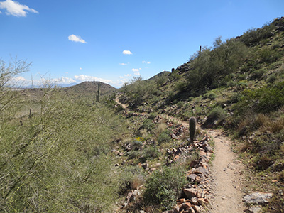 Casa Grande Park